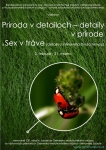 Príroda v detaile – detaily v prírode a Sex v tráve (detaily z intímneho života hmyzu)