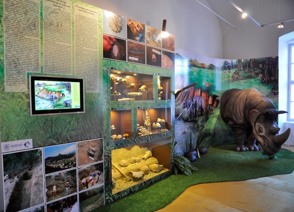 expozícia o paleontologickom nálezisku Kostná dolina - vo vitríne vystavené fosílie kostí zvierat, fotografie z výskumu, maketa nosorožca
