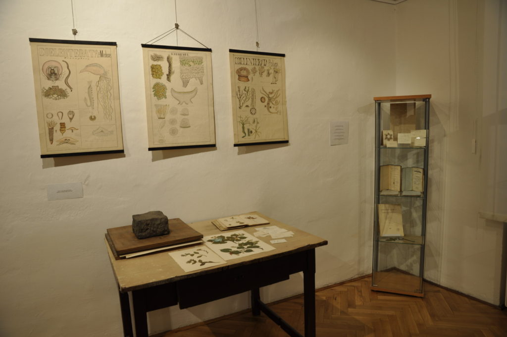 Pohľad na výstavu - učebné pomôcky, ktoré používal János Fábry, stôl s herbárovými listami.