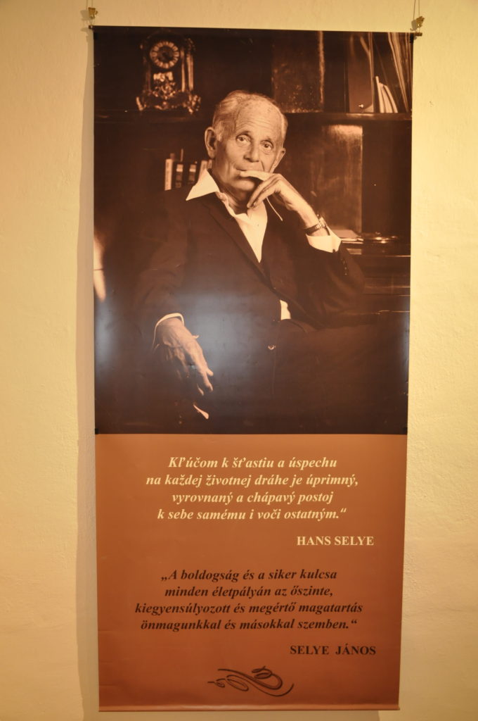 Pohľad na výstavu - poster s fotografiou Hansa Selyeho.