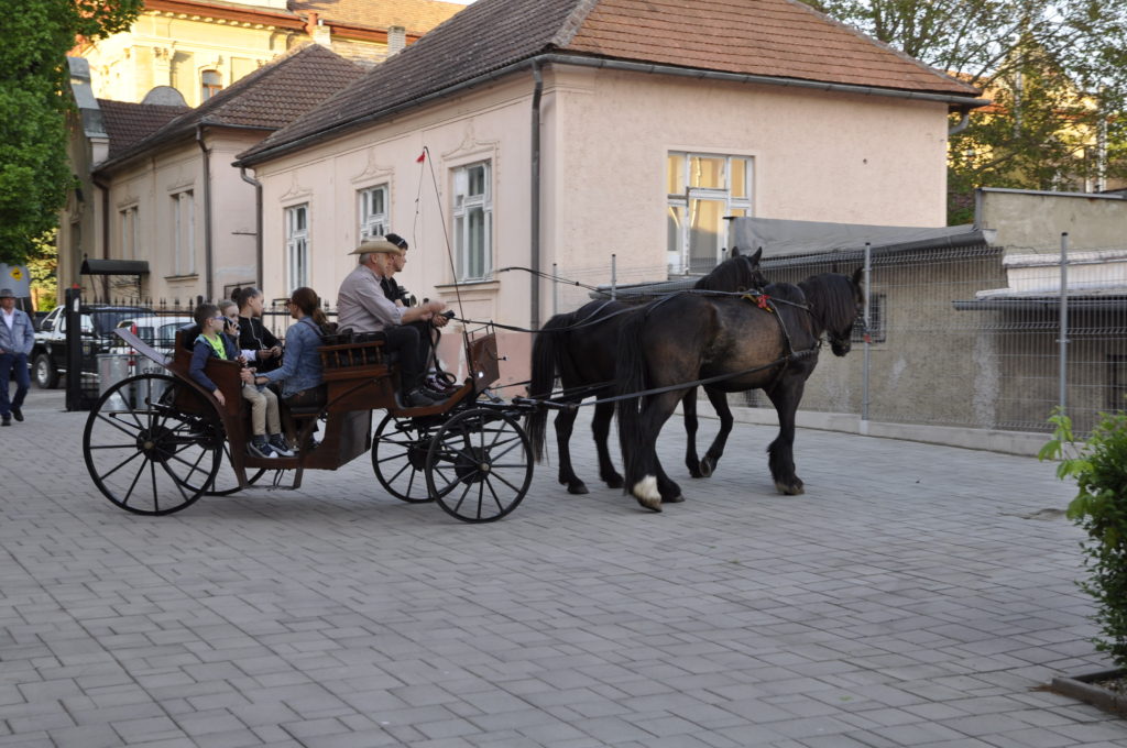 jazda na koči (Ranč Megi, Poltár-Prievrana)